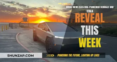 Tesla Unveils New Electric Vehicle: What's the Latest?
