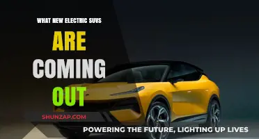 Upcoming Electric SUVs: What's New on the Market?