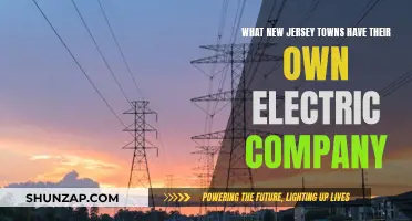 Unveiling New Jersey's Electric Town Secrets: Local Power Companies Revealed