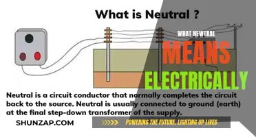 Electrical Newtrality: Understanding the Concept of Newtral Electricity