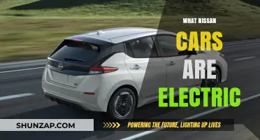 Discover Nissan's Electric Lineup: Eco-Friendly Models for a Greener Drive
