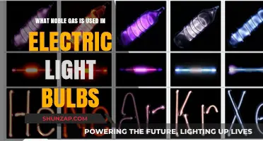 The Glowing Truth: Which Noble Gas Lights Up Bulbs?