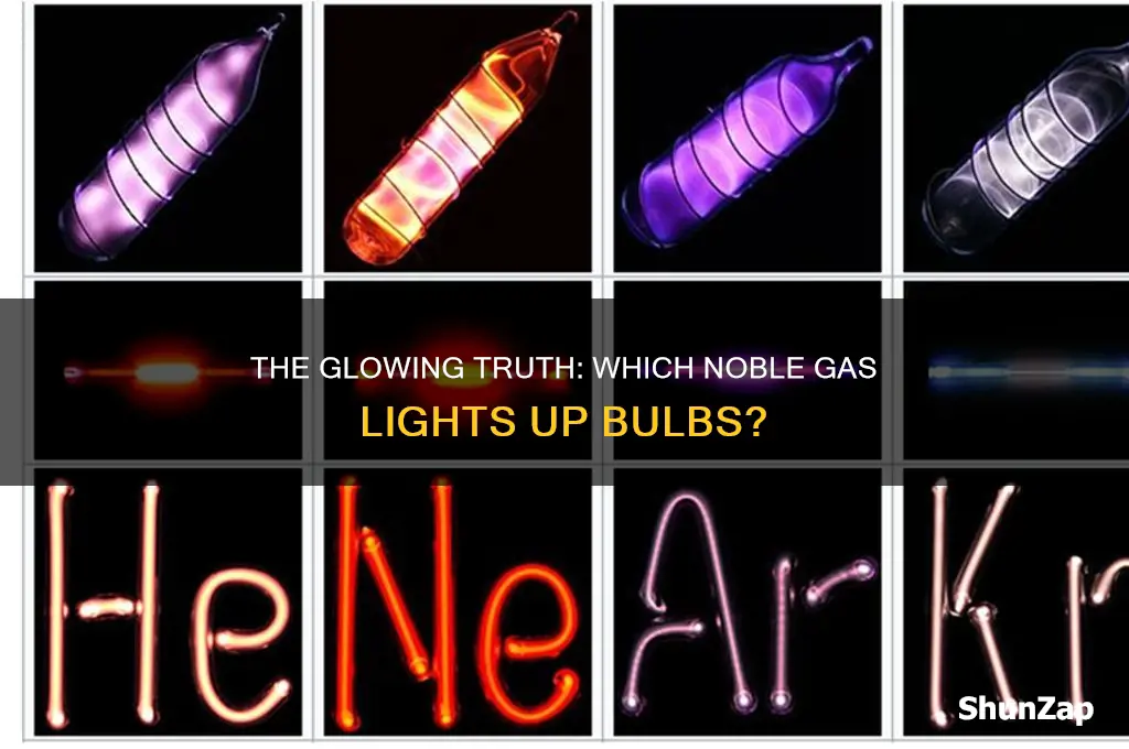 what noble gas is used in electric light bulbs