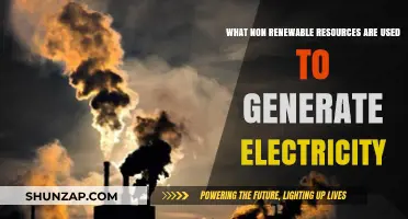 Powering the World: Non-Renewable Resources Behind Electricity Generation