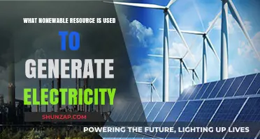 Unsustainable Power: The Nonrenewable Resource Fueling Electricity Generation