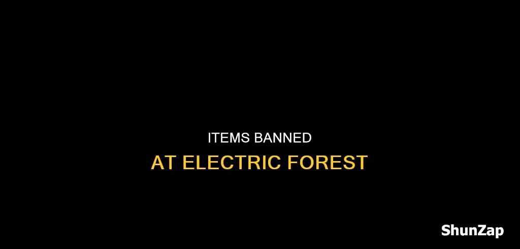 what not to bring to electric forest