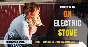 Avoid These Items: What Not to Use on Electric Stoves