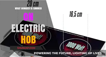 Simmering on an Electric Hob: What's the Right Temperature?