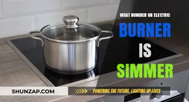 Simmering on an Electric Burner: What Setting to Use?
