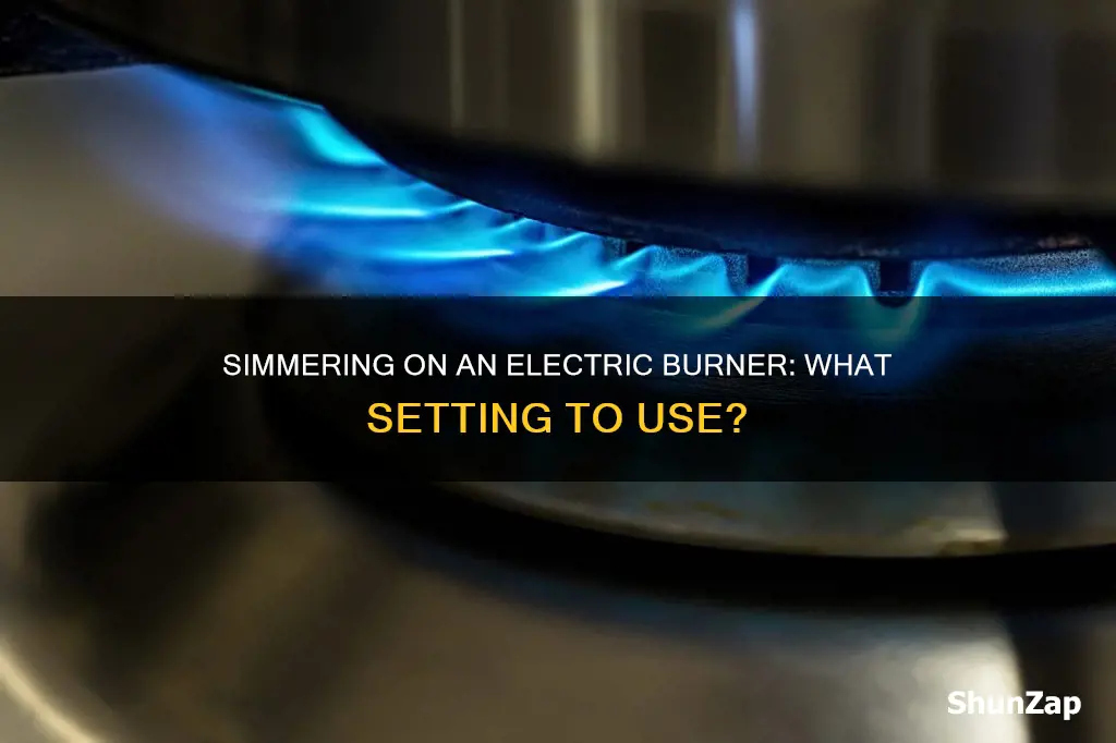 what number on electric burner is simmer
