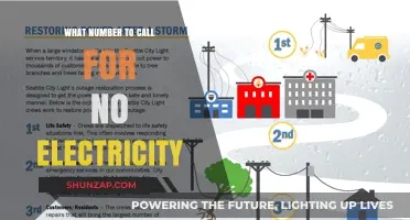 Emergency Power Outages: Who to Call?