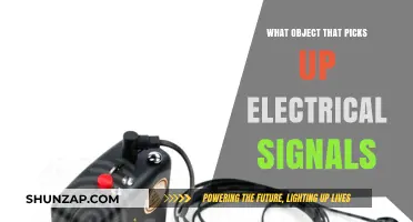Electrical Signal Detection: Objects That Can Sense Electricity