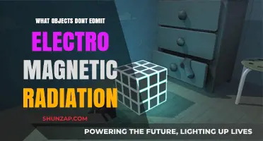Objects That Block Electromagnetic Waves