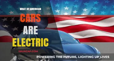 The Rise of Electric Vehicles in the American Auto Industry