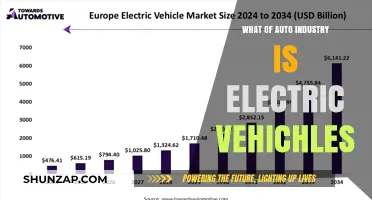Electric Vehicles: The Auto Industry's Future