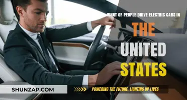 Who's Driving Electric Cars in the United States Today?
