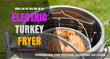 Best Oil for Electric Turkey Fryers: Top Choices and Tips