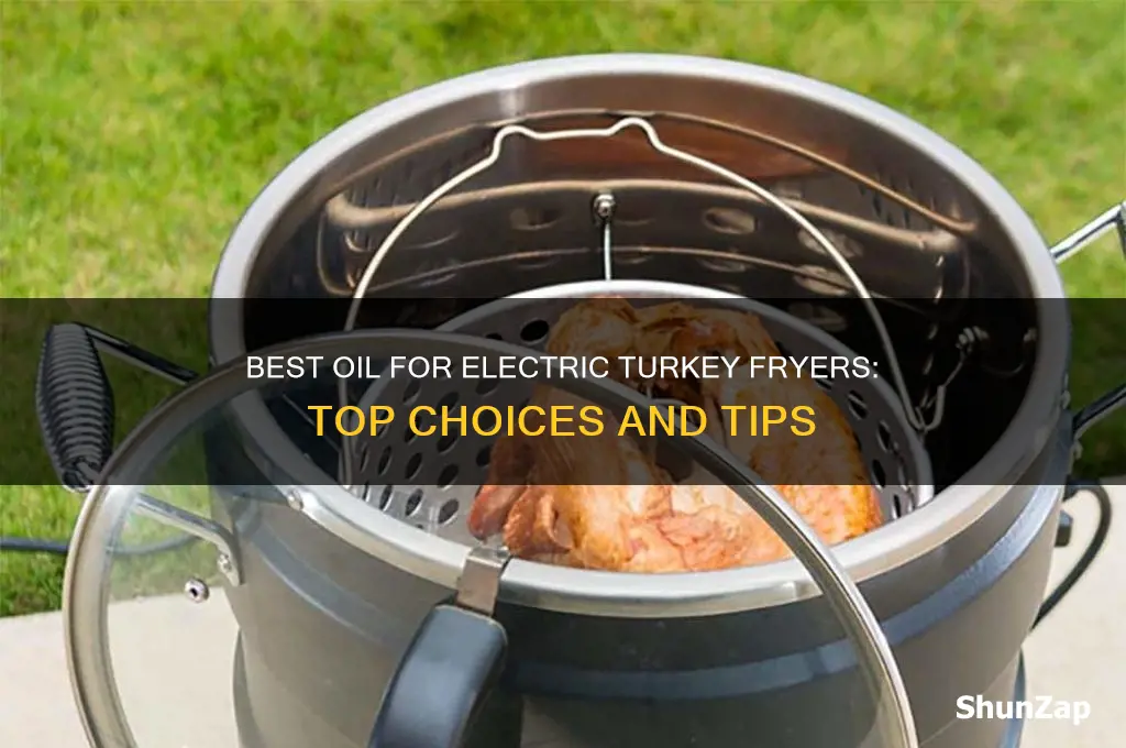 what oil do you use in an electric turkey fryer