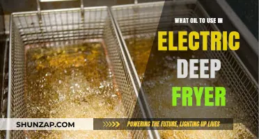 Best Oil Choices for Your Electric Deep Fryer: A Guide
