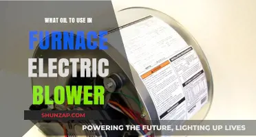 Choosing the Right Oil for Your Furnace Electric Blower