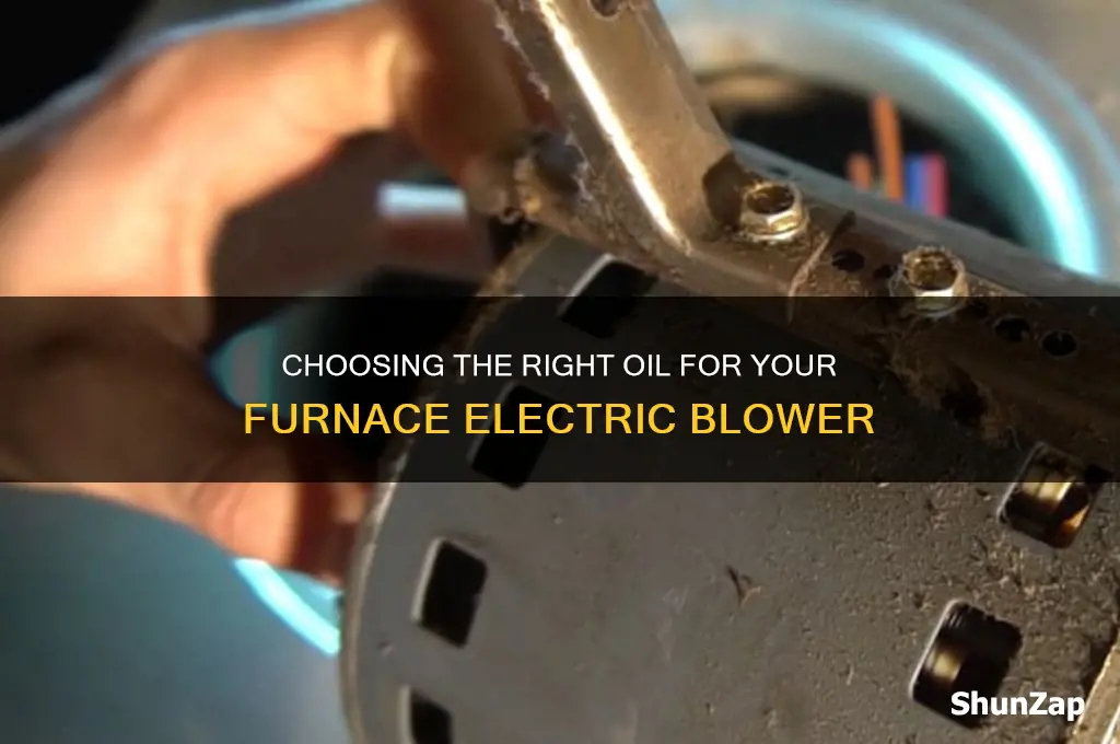what oil to use in furnace electric blower
