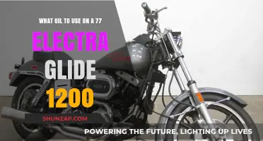 Best Oil for 1977 Electra Glide 1200 Harley Davidson