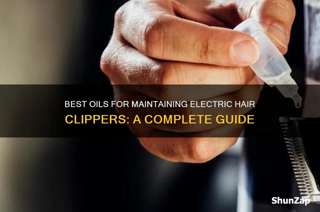 what oil to use on electric hair clippers