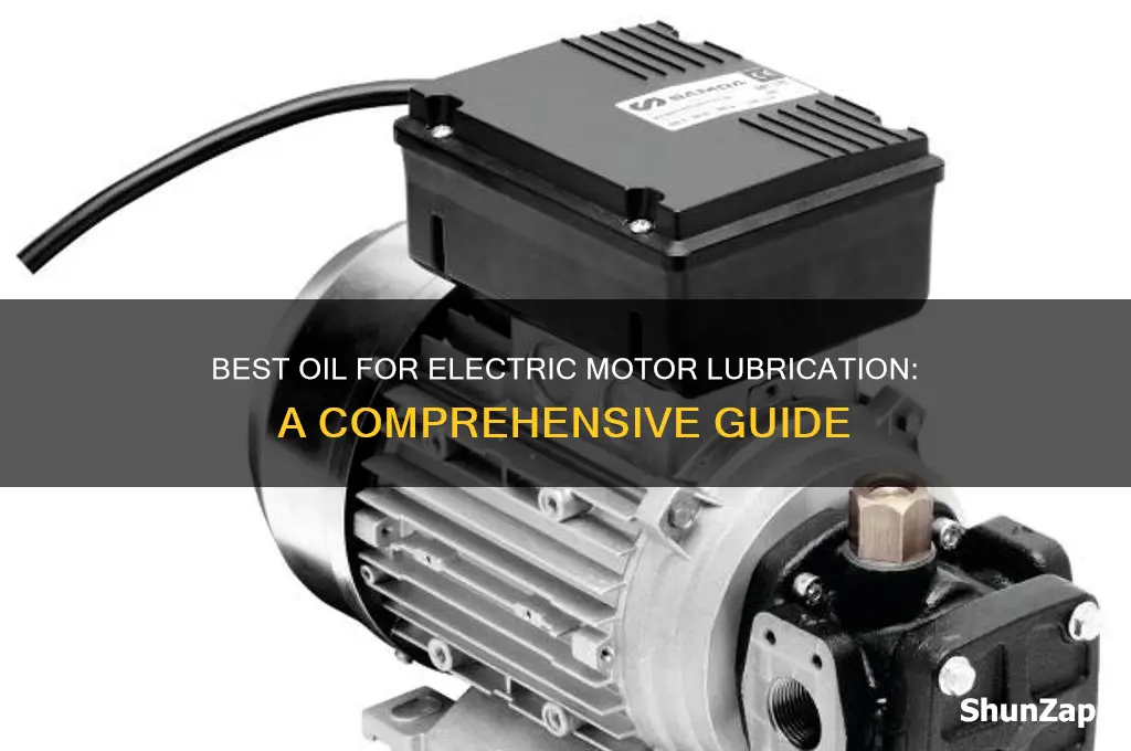 what oil to use to lubricate electric motors