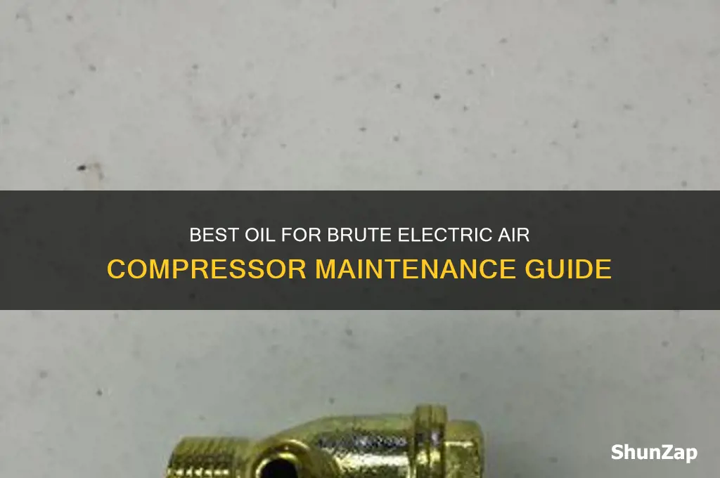 what oil used on a brute electric air compressor