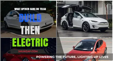 Beyond Electric: Exploring Tesla's Diverse Vehicle Lineup and Innovations