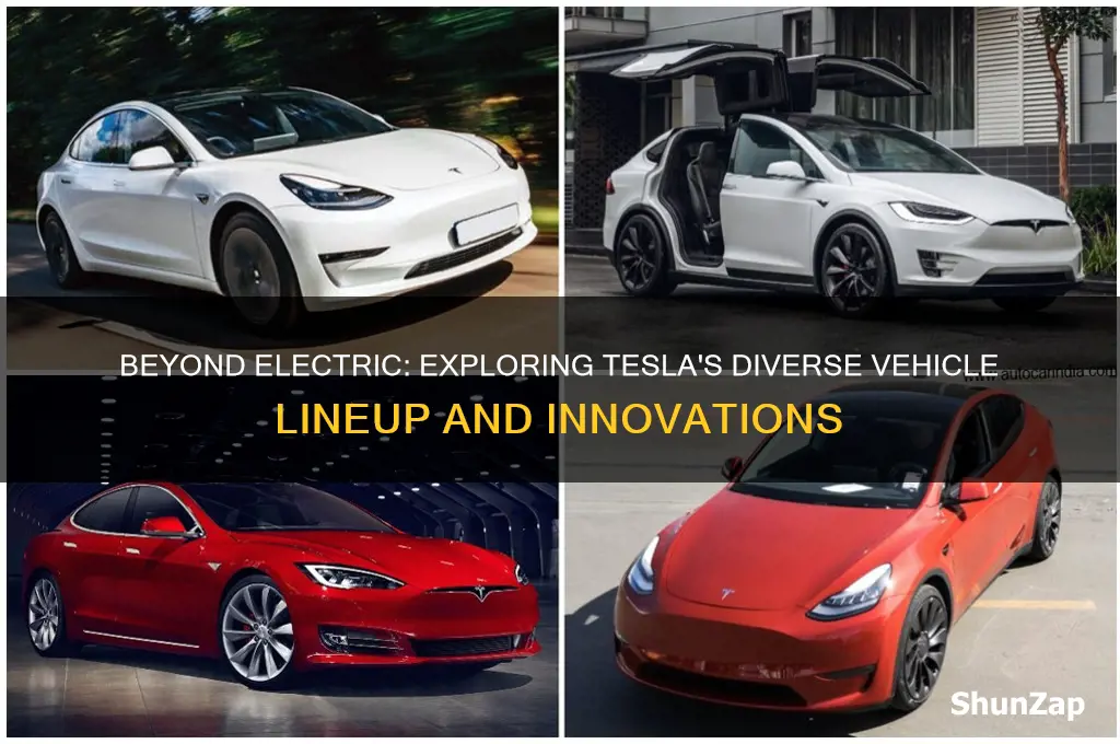 what opther cars do telsa build then electric