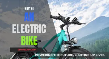 Electric Bike Basics: How They Work and Who's Riding