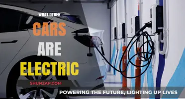 Exploring the Growing List of Electric Vehicles on the Market