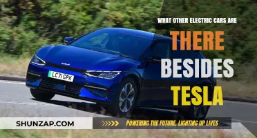 Beyond Tesla: Exploring the Diverse World of Electric Vehicles