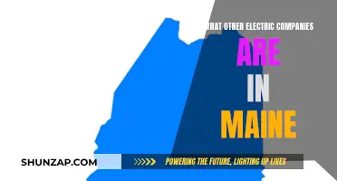 Exploring Maine's Electric Landscape: Beyond Central Maine Power