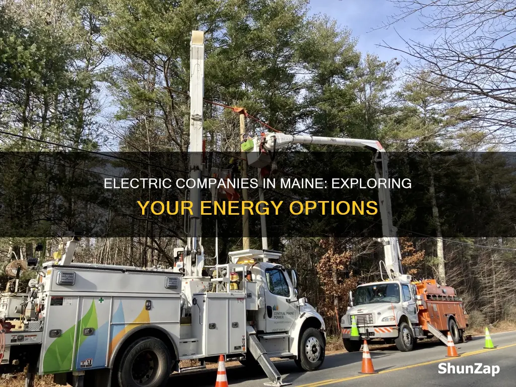 what other electric companies are in maine