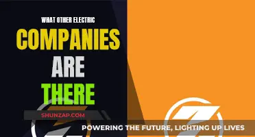 The Best Electric Companies: Your Alternative Options
