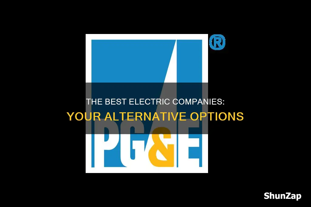what other electric companies are there