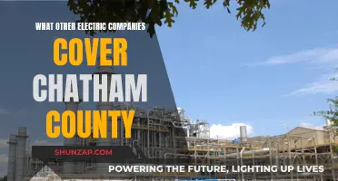 Chatham County's Electric Coverage: Beyond the Big Names