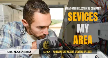 Electrical Services: Finding Local Experts Near You