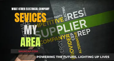 Electrical Company Options: Who Services My Area?