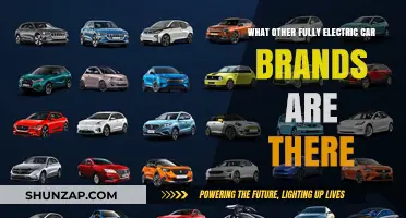 Exploring the Growing Market of Fully Electric Car Brands Beyond Tesla