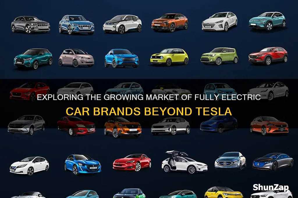 what other fully electric car brands are there