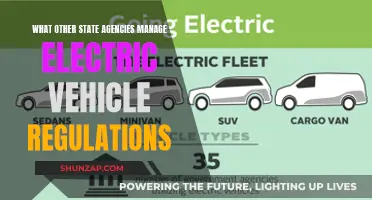 Beyond the EPA: Exploring State EV Regulation Management