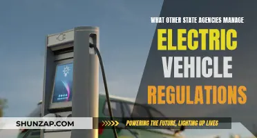 State Agencies: Electric Vehicle Regulation Management