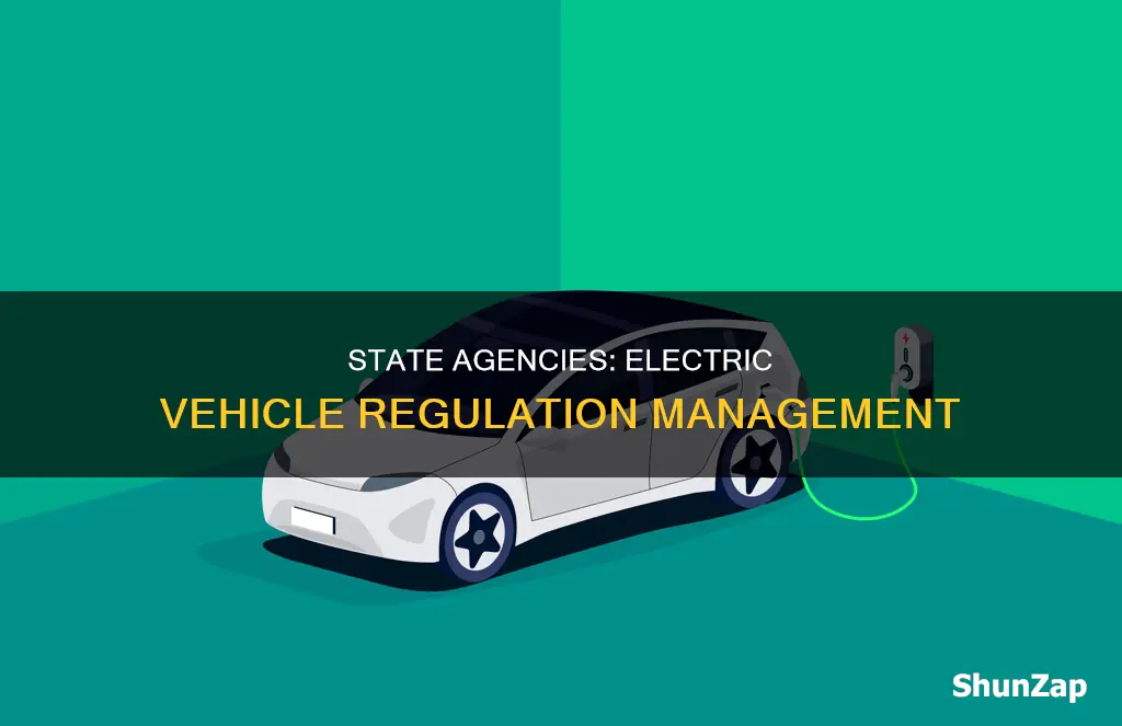 what other state agencies manage electric vehicle regulations