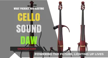 DAW Cello Sounds: Which Package to Pick?