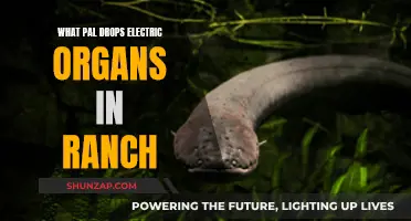 Electric Organ Donation: PAL's Ranch Revolution
