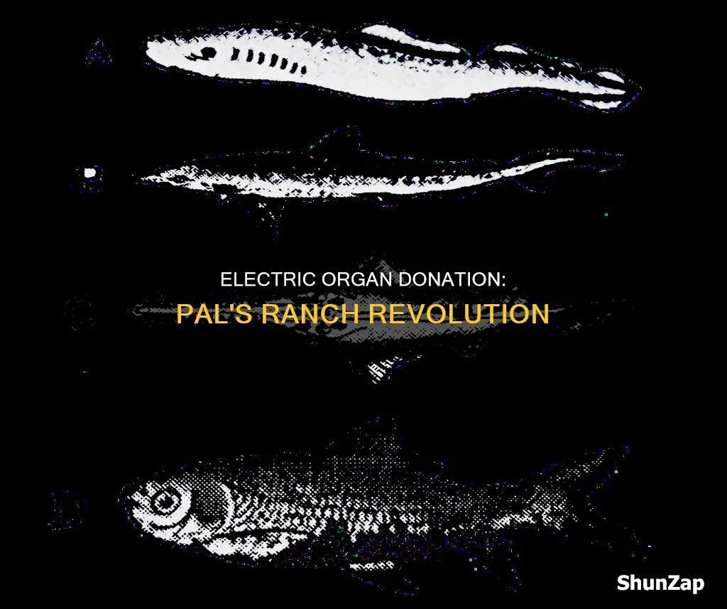 what pal drops electric organs in ranch