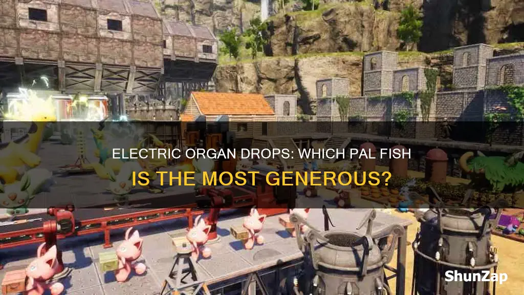 what pal drops the most electric organs